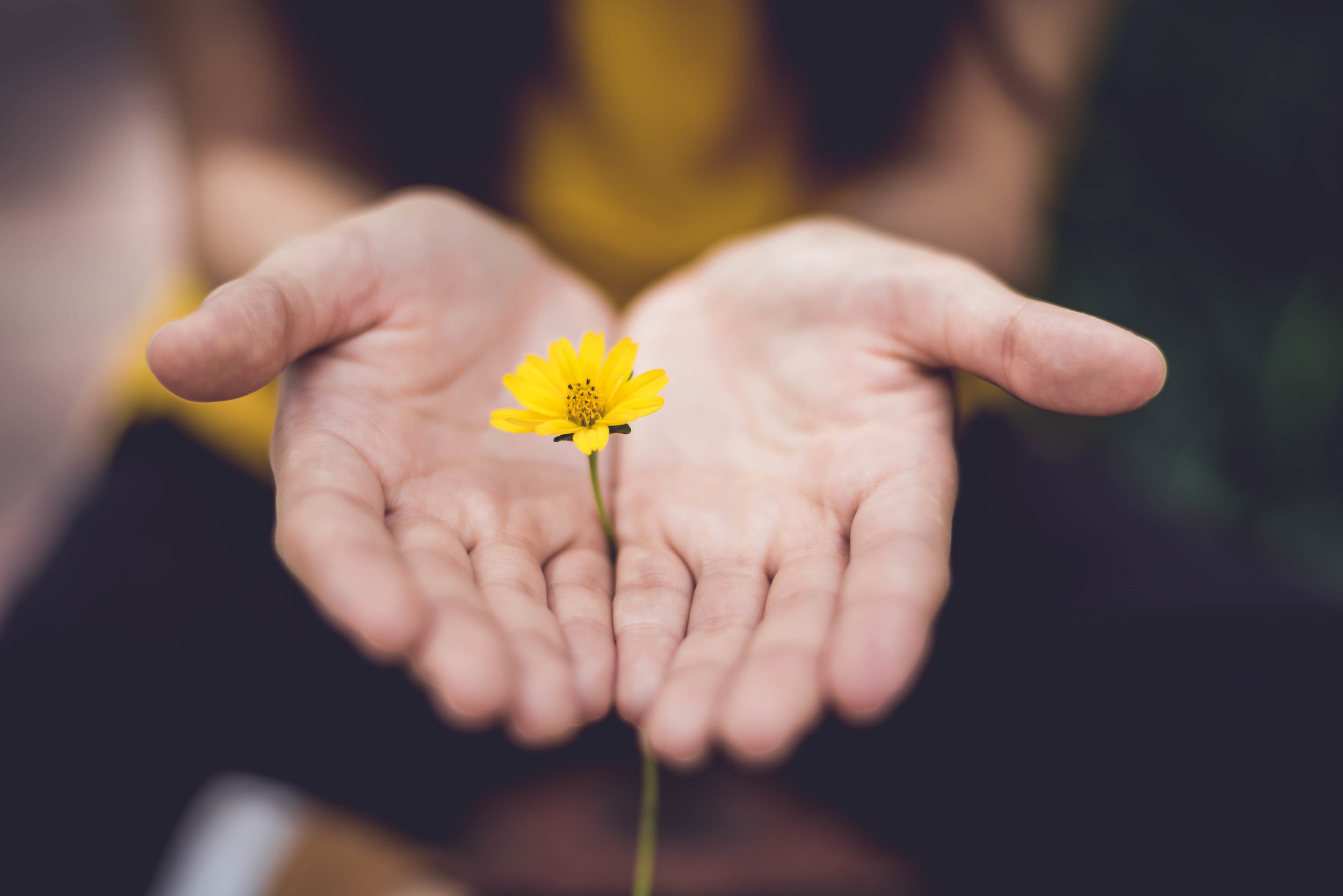 On Forgiveness